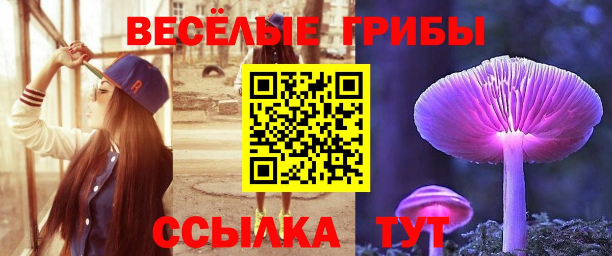 Псилоцибиновые грибы прущие грибы Выборг